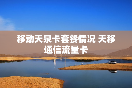 移动天泉卡套餐情况 天移通信流量卡