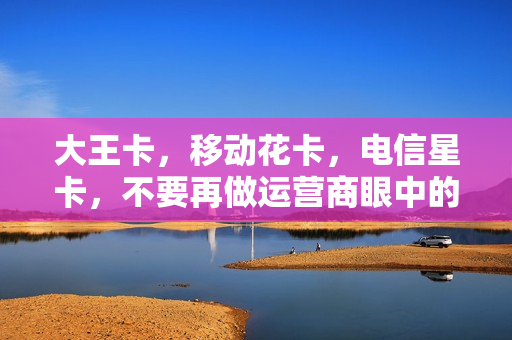大王卡，移动花卡，电信星卡，不要再做运营商眼中的冤种了，好吗