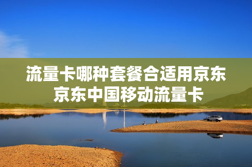 流量卡哪种套餐合适用京东 京东中国移动流量卡