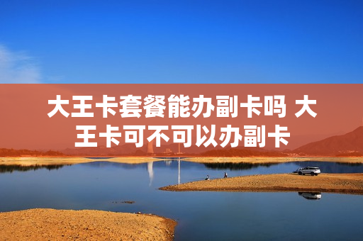 大王卡套餐能办副卡吗 大王卡可不可以办副卡