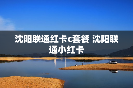 沈阳联通红卡c套餐 沈阳联通小红卡