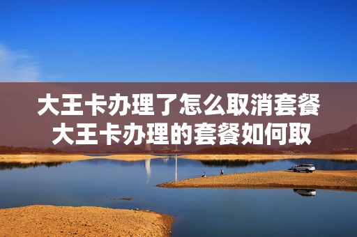 大王卡办理了怎么取消套餐 大王卡办理的套餐如何取消