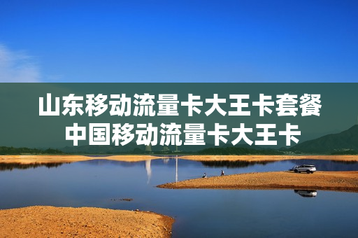 山东移动流量卡大王卡套餐 中国移动流量卡大王卡