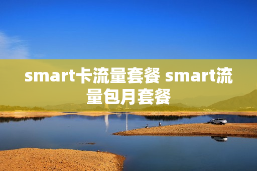 smart卡流量套餐 smart流量包月套餐