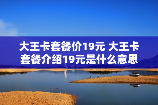 大王卡套餐价19元 大王卡套餐介绍19元是什么意思