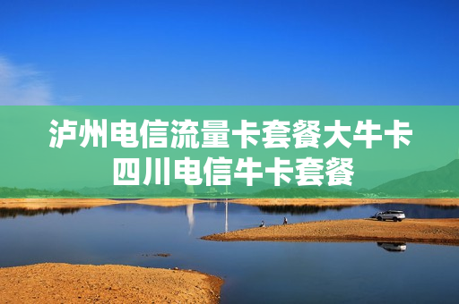 泸州电信流量卡套餐大牛卡 四川电信牛卡套餐