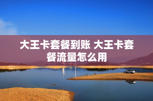 大王卡套餐到账 大王卡套餐流量怎么用