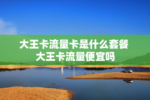 大王卡流量卡是什么套餐 大王卡流量便宜吗