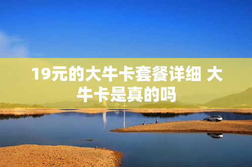 19元的大牛卡套餐详细 大牛卡是真的吗