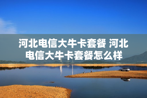 河北电信大牛卡套餐 河北电信大牛卡套餐怎么样
