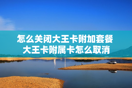 怎么关闭大王卡附加套餐 大王卡附属卡怎么取消