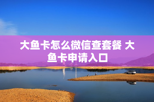 大鱼卡怎么微信查套餐 大鱼卡申请入口