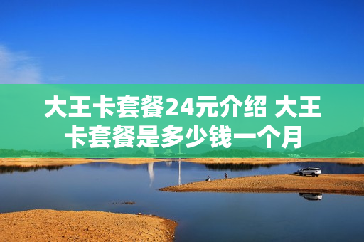 大王卡套餐24元介绍 大王卡套餐是多少钱一个月