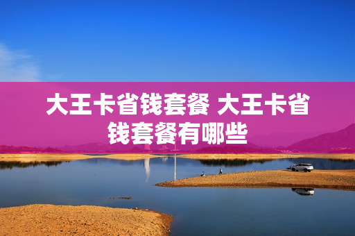 大王卡省钱套餐 大王卡省钱套餐有哪些