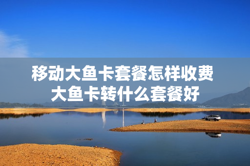 移动大鱼卡套餐怎样收费 大鱼卡转什么套餐好