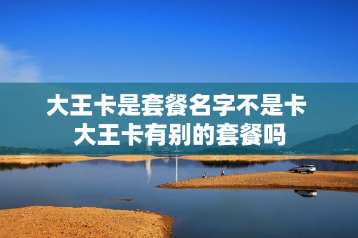 大王卡是套餐名字不是卡 大王卡有别的套餐吗