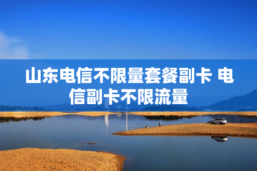 山东电信不限量套餐副卡 电信副卡不限流量
