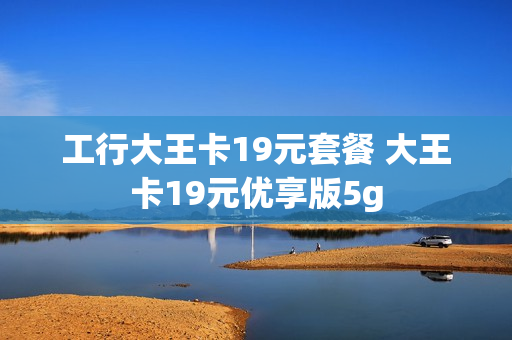 工行大王卡19元套餐 大王卡19元优享版5g