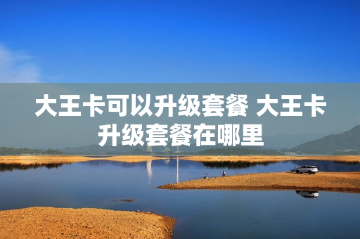 大王卡可以升级套餐 大王卡升级套餐在哪里