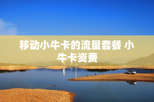 移动小牛卡的流量套餐 小牛卡资费