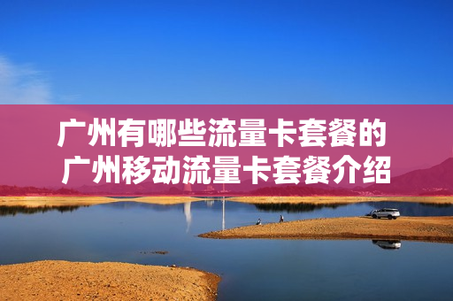 广州有哪些流量卡套餐的 广州移动流量卡套餐介绍