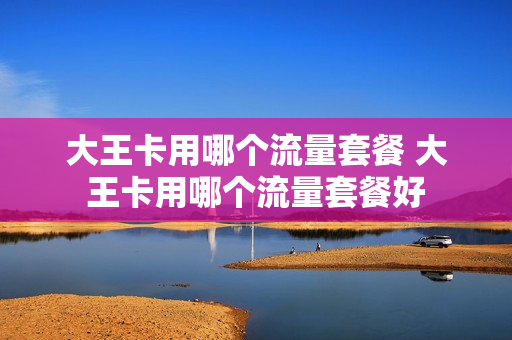 大王卡用哪个流量套餐 大王卡用哪个流量套餐好