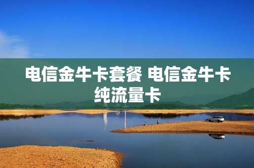 电信金牛卡套餐 电信金牛卡纯流量卡