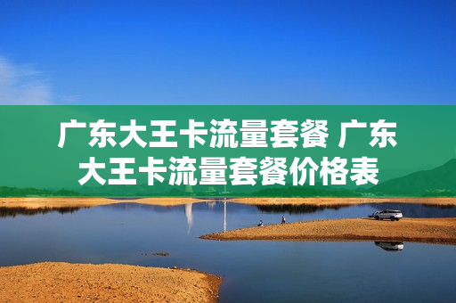 广东大王卡流量套餐 广东大王卡流量套餐价格表