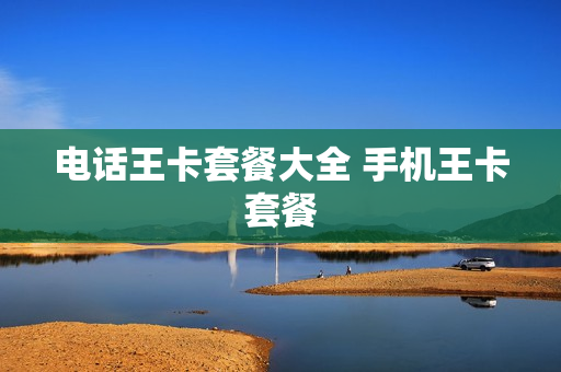 电话王卡套餐大全 手机王卡套餐