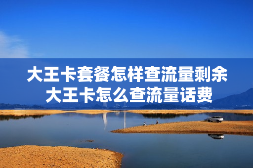 大王卡套餐怎样查流量剩余 大王卡怎么查流量话费