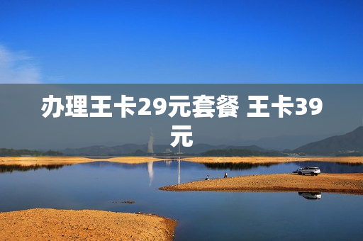 办理王卡29元套餐 王卡39元