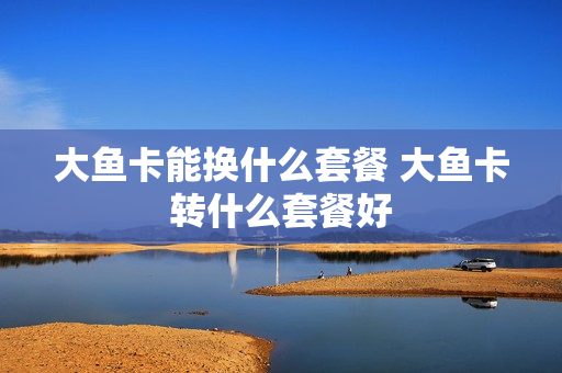 大鱼卡能换什么套餐 大鱼卡转什么套餐好