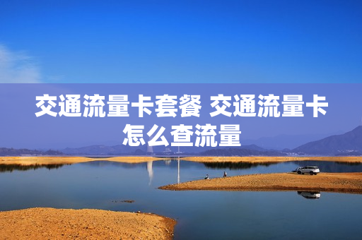 交通流量卡套餐 交通流量卡怎么查流量