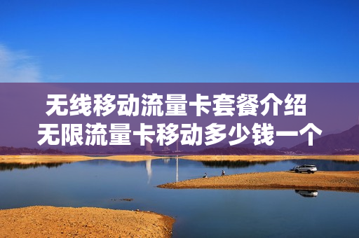 无线移动流量卡套餐介绍 无限流量卡移动多少钱一个月