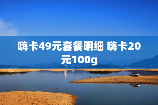 嗨卡49元套餐明细 嗨卡20元100g