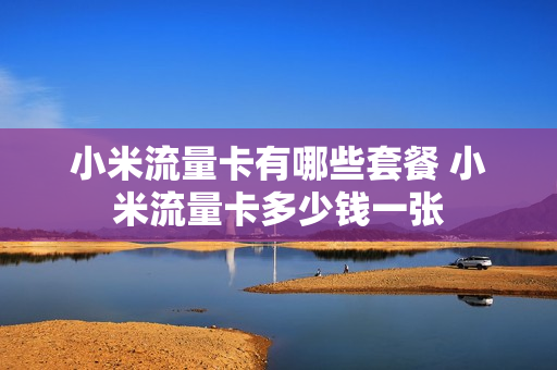 小米流量卡有哪些套餐 小米流量卡多少钱一张