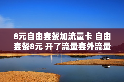 8元自由套餐加流量卡 自由套餐8元 开了流量套外流量