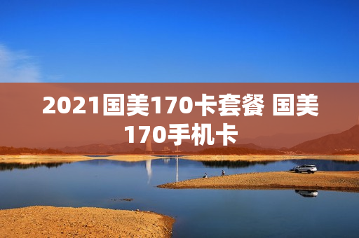 2021国美170卡套餐 国美170手机卡