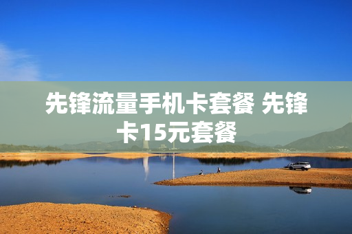 先锋流量手机卡套餐 先锋卡15元套餐