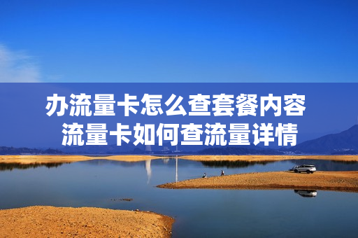 办流量卡怎么查套餐内容 流量卡如何查流量详情