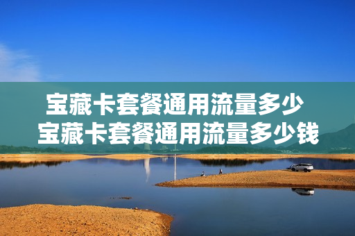 宝藏卡套餐通用流量多少 宝藏卡套餐通用流量多少钱
