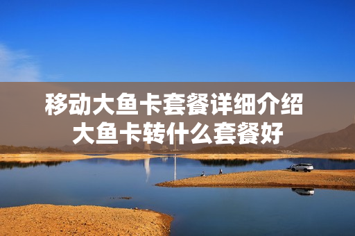移动大鱼卡套餐详细介绍 大鱼卡转什么套餐好