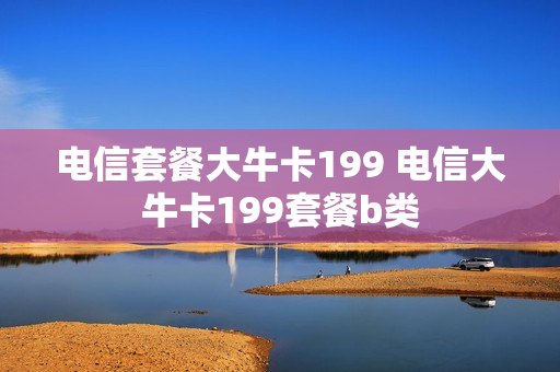电信套餐大牛卡199 电信大牛卡199套餐b类