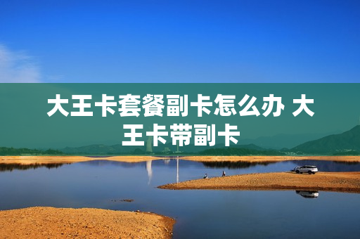大王卡套餐副卡怎么办 大王卡带副卡