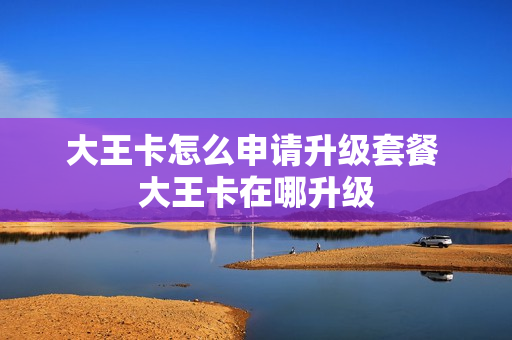 大王卡怎么申请升级套餐 大王卡在哪升级