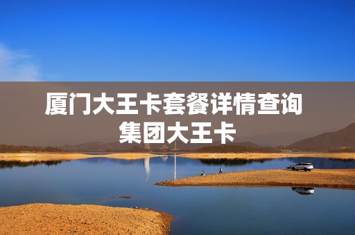 厦门大王卡套餐详情查询 集团大王卡