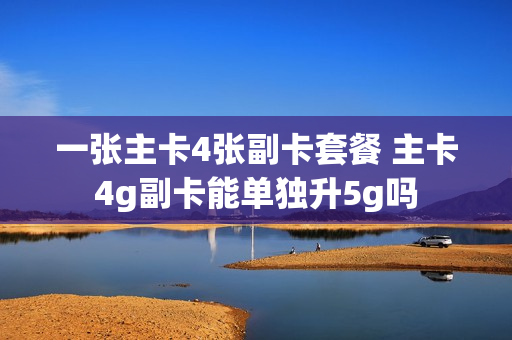 一张主卡4张副卡套餐 主卡4g副卡能单独升5g吗