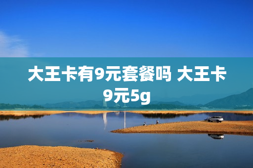 大王卡有9元套餐吗 大王卡9元5g
