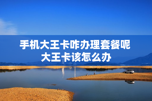 手机大王卡咋办理套餐呢 大王卡该怎么办