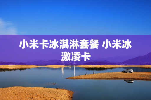 小米卡冰淇淋套餐 小米冰激凌卡